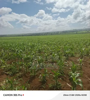5 Acres Land for Sale