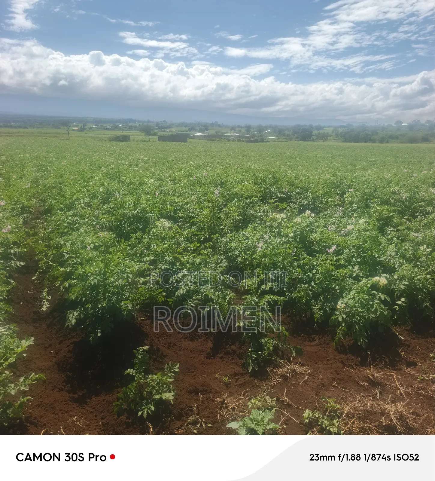5 Acres Land for Sale