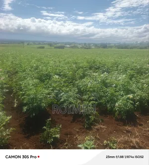 5 Acres Land for Sale