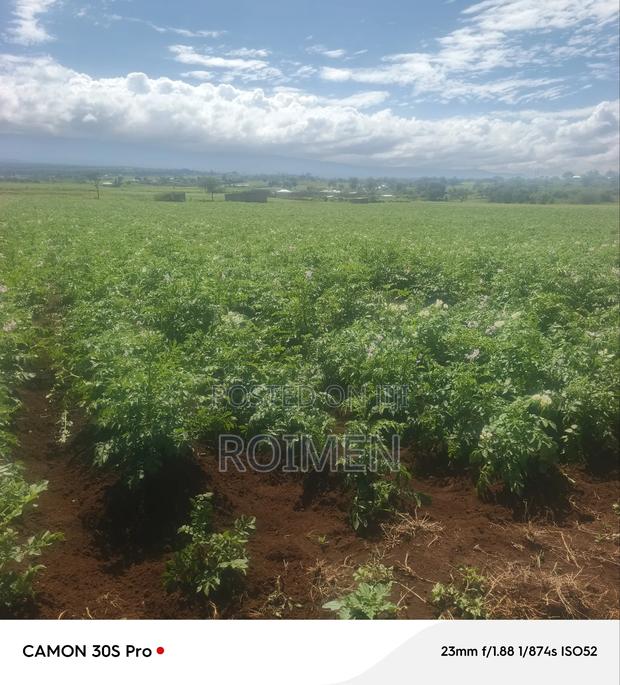 5 Acres Land for Sale - thumbnail 4