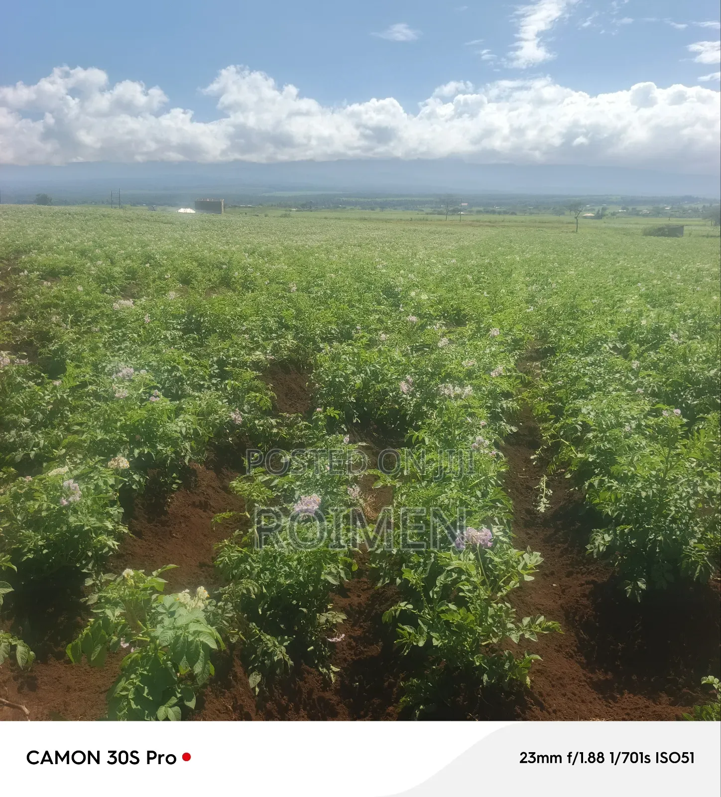 5 Acres Land for Sale