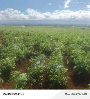 5 Acres Land for Sale