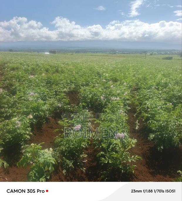 5 Acres Land for Sale - thumbnail 5