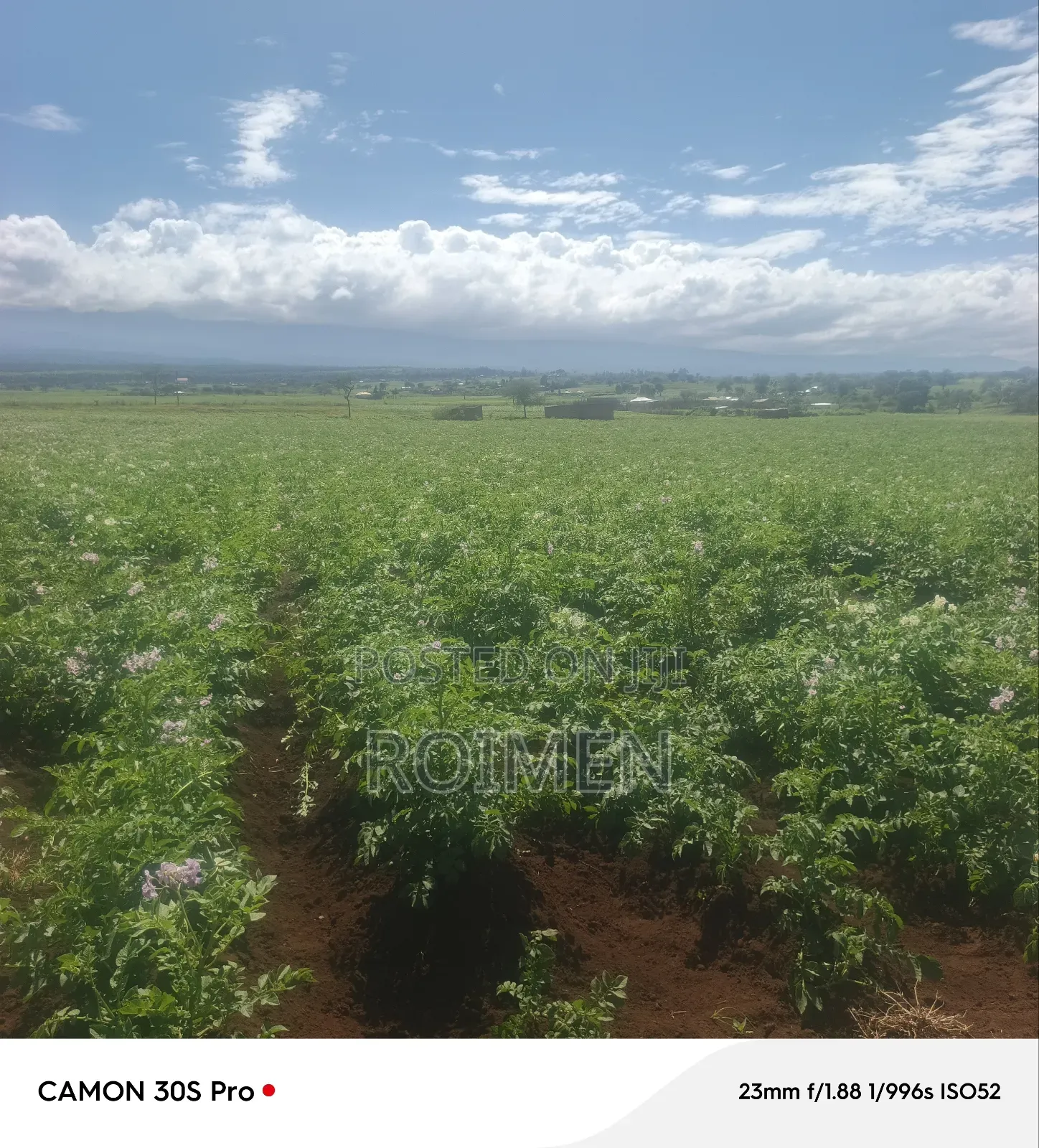 5 Acres Land for Sale