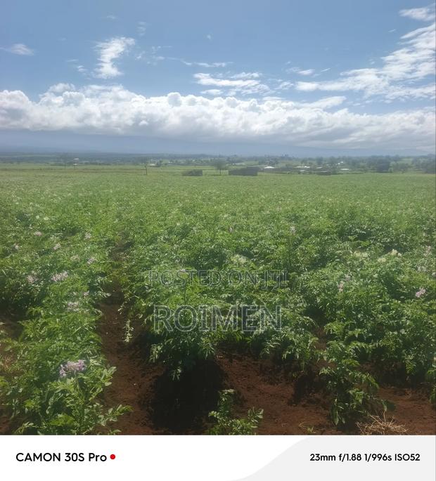 5 Acres Land for Sale - thumbnail 6