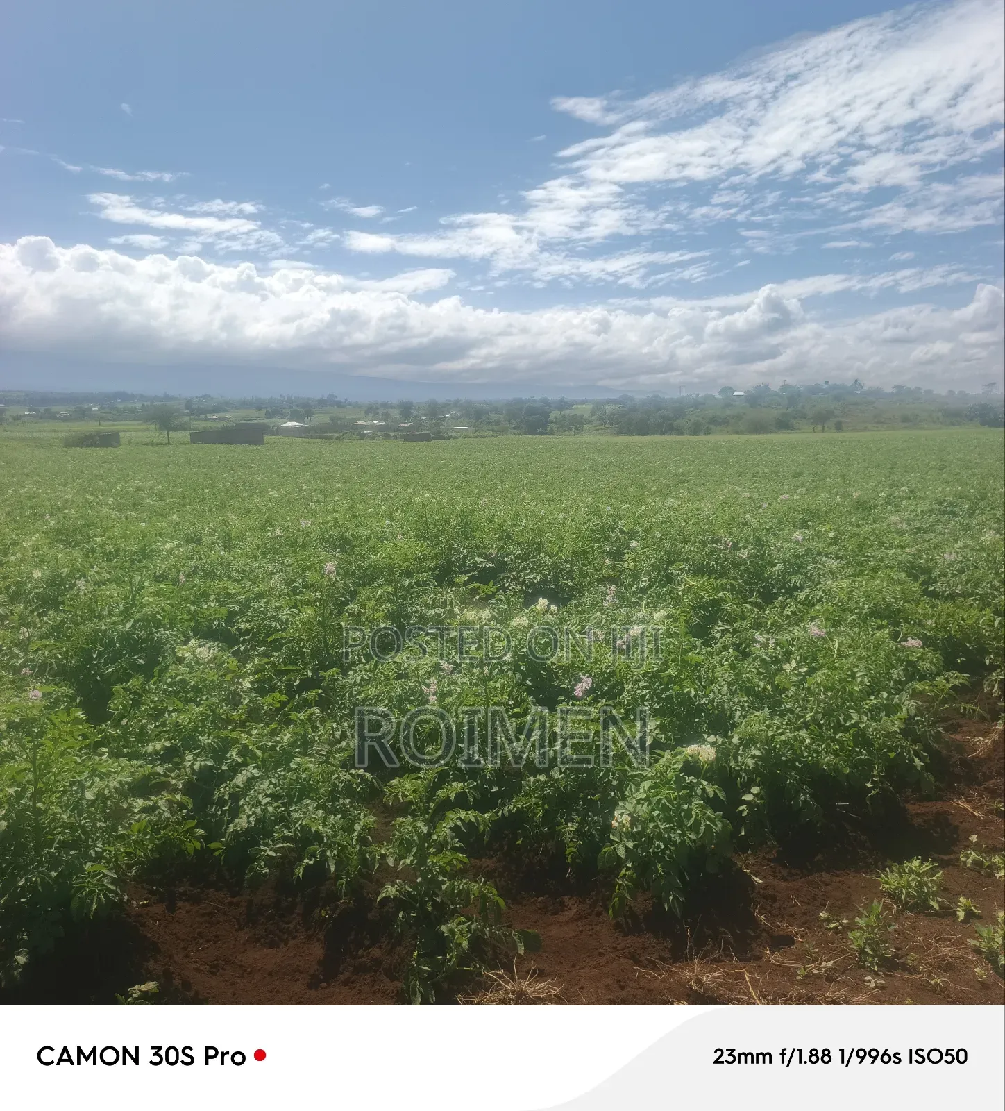 5 Acres Land for Sale