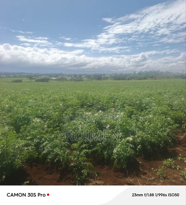 5 Acres Land for Sale - thumbnail 9