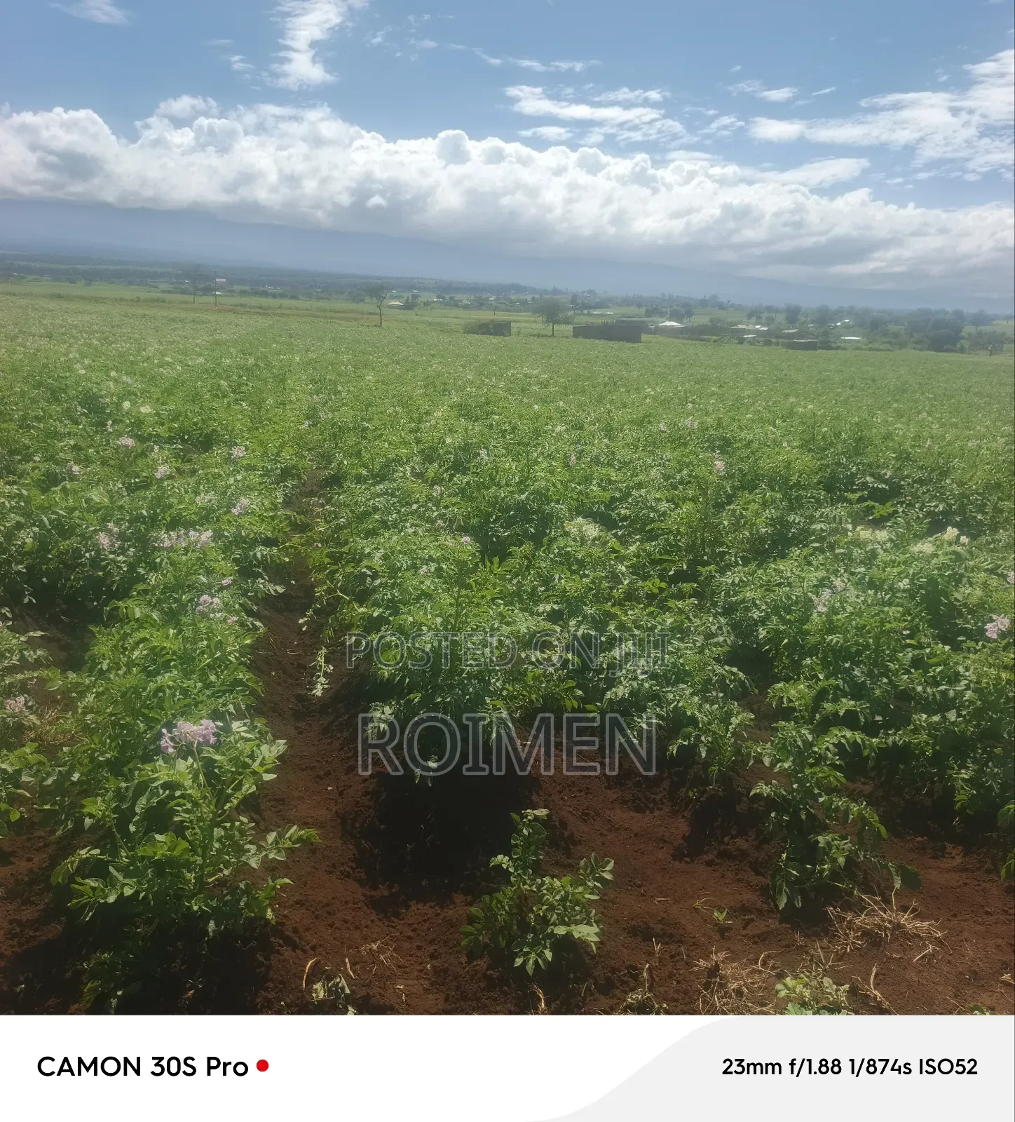 5 Acres Land for Sale