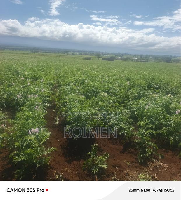 5 Acres Land for Sale - thumbnail 10