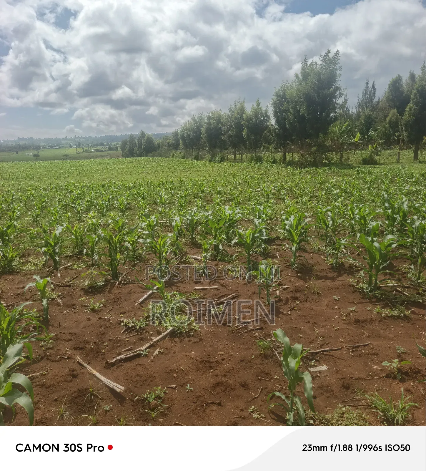 5 Acres Land for Sale