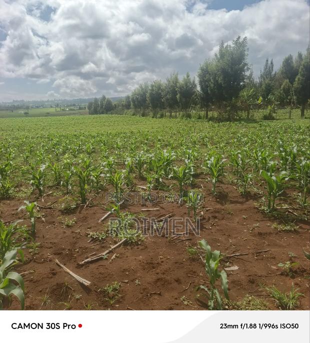 5 Acres Land for Sale - thumbnail 11