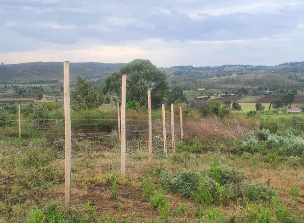 Prime Plots at Kamangu, Ndigũ-Inĩ