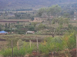 Prime Plots at Kikuyu, Kamangu