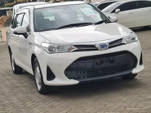 Toyota Corolla Fielder 2019 White