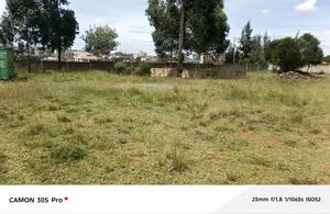 1/2 Acre Pioneer With Title