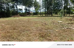 1/2 Acre Elgonview Upper With Title