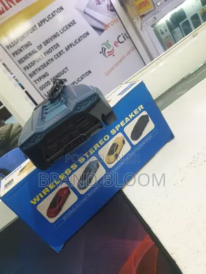 Wireless Stereo Speaker