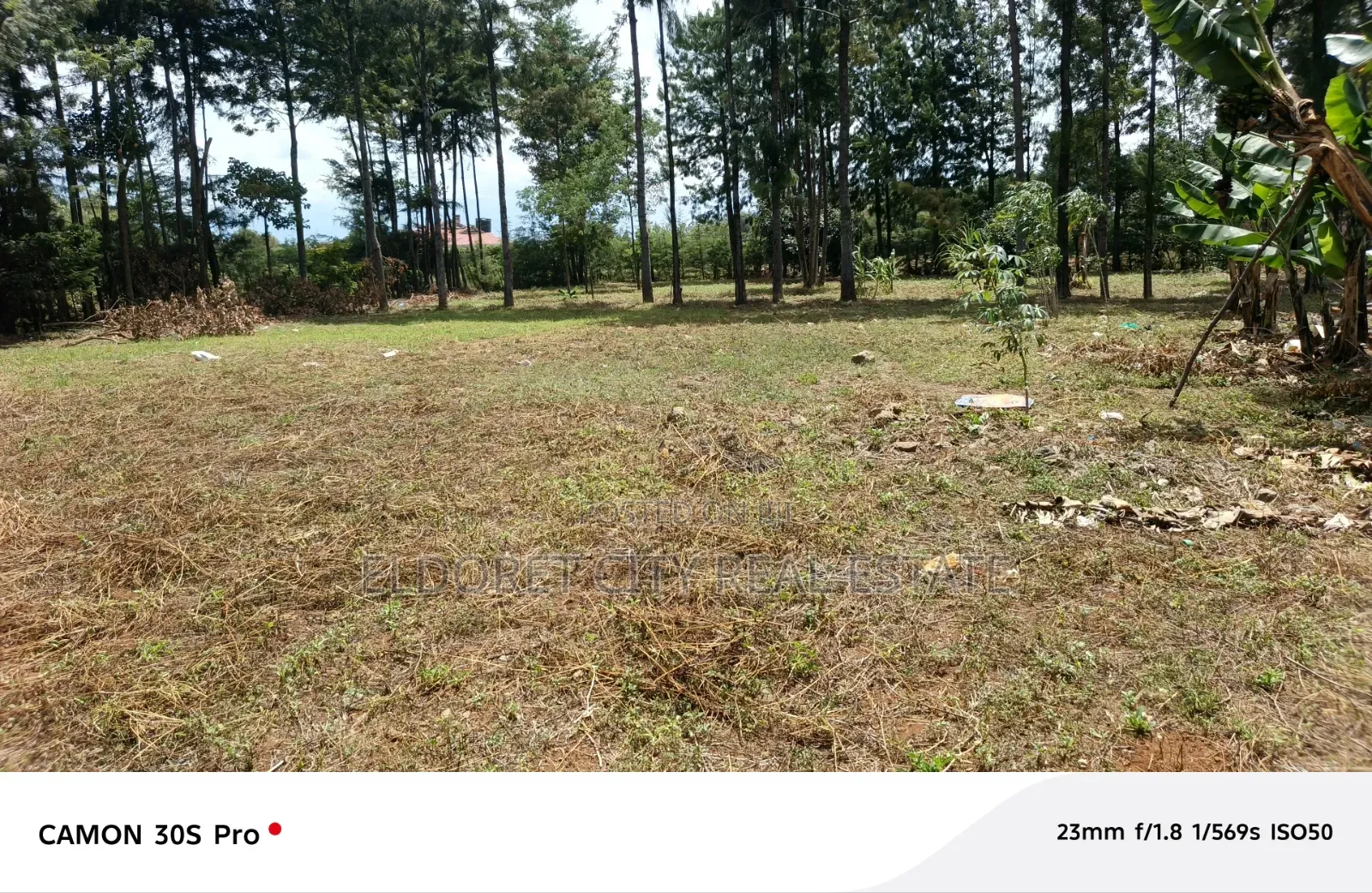 One Acre Elgonview