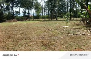 One Acre Elgonview