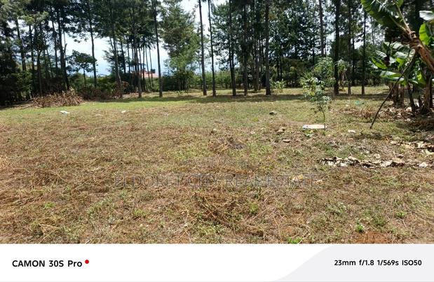 One Acre Elgonview
