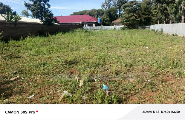 1/4 Plot Kimumu Sinai With Title - main view