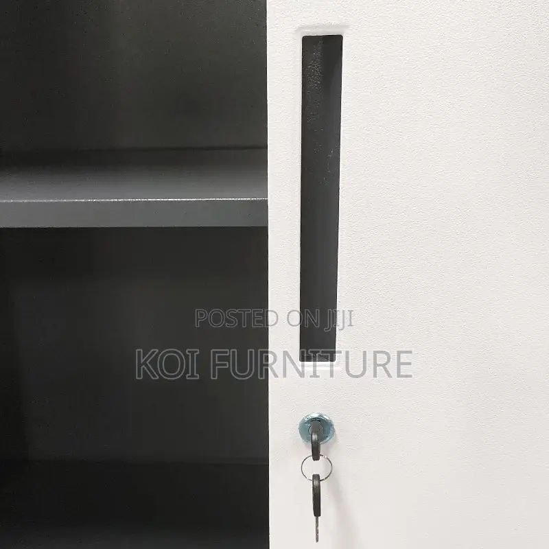 Office Cabinet; Two Doors Executive Home Office File Steel Cabinet
