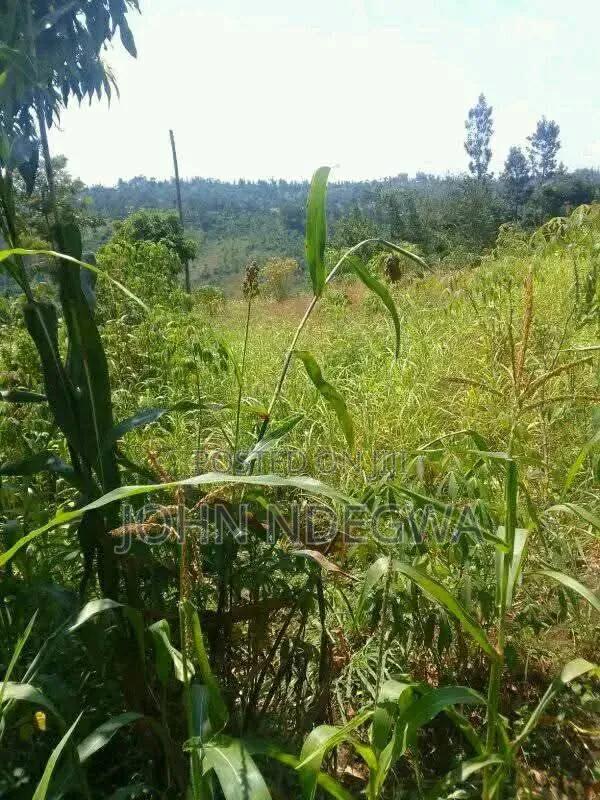 Kangari Prime Land - main view
