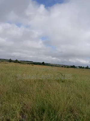 Oletepesi 99 Acres. 5kms Off Tarmac. 1.5m Per Acre