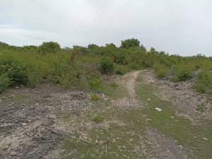 Beach Plot