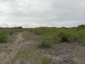 Beach Plot