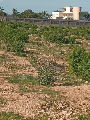 Beach Plot