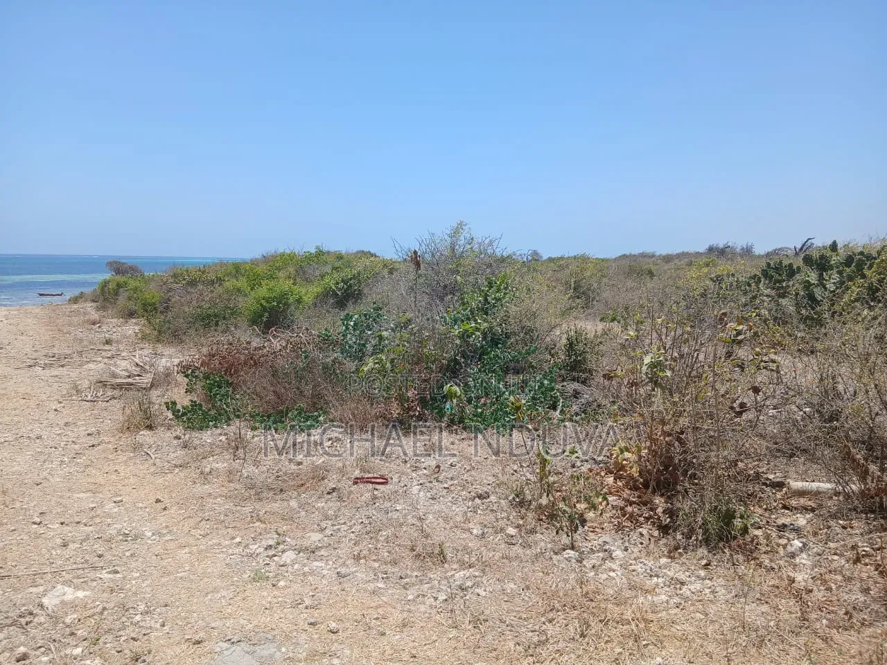 Beach Plot