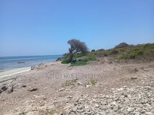 Beach Plot