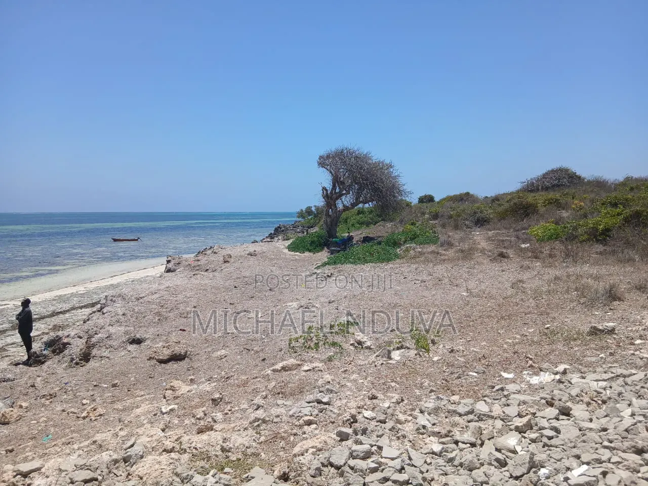 Beach Plot