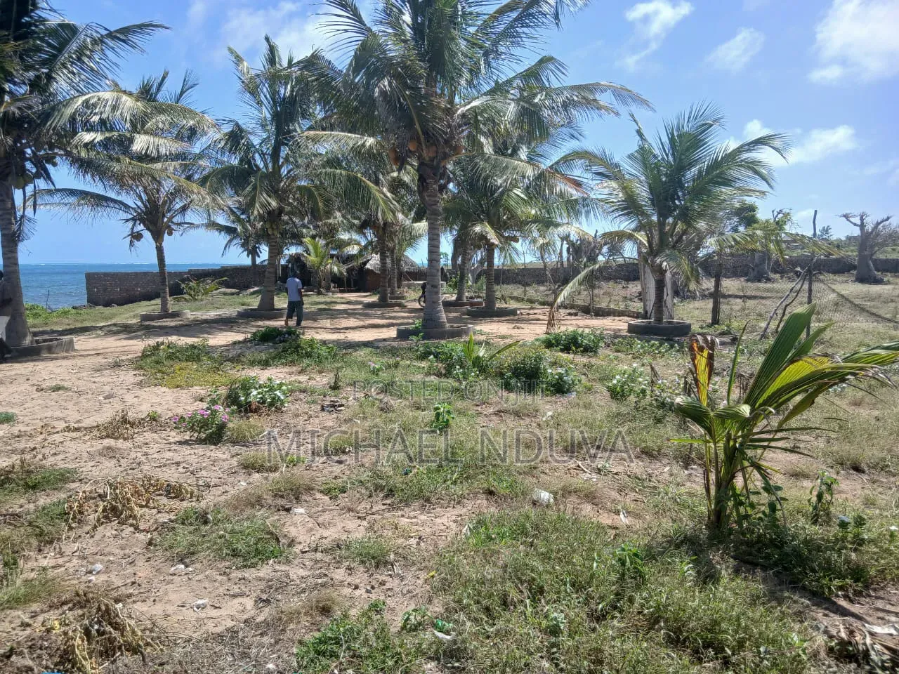 Beach Plot