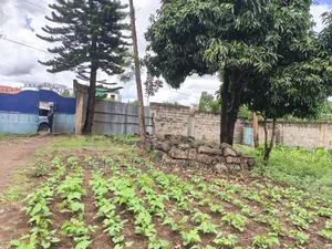 100 by 100 Plot for Sale