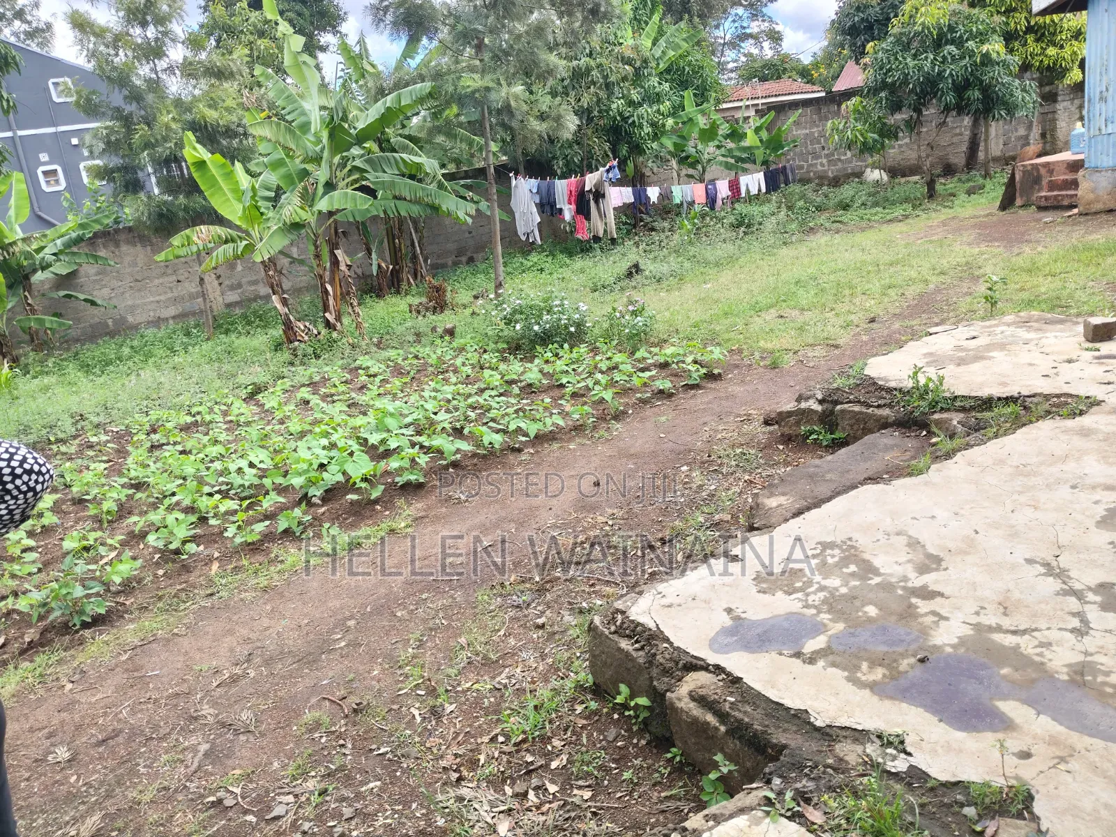 100 by 100 Plot for Sale