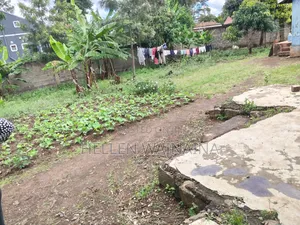 100 by 100 Plot for Sale