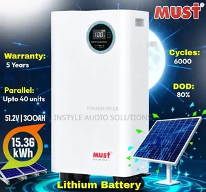 Must 15.36kwh (300ah)Lithium Heavy Duty Battery 6000 Cycle 80% Dod
