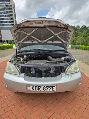 Toyota Harrier 2007 Beige