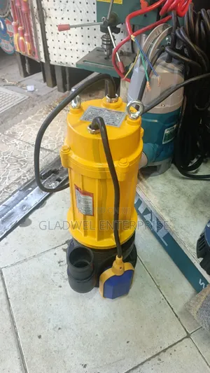 Affordable 2hp Sewage/Drainage Submassible Pump