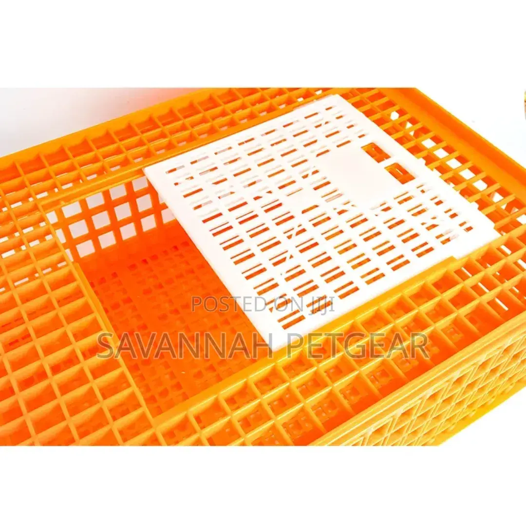 High Quality Chicken,Duck,Goose,Quail,Pigeon,Rabbit Transport Crates