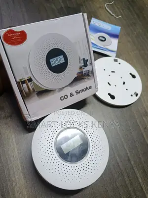 2 In 1 Smoke Detector And Carbon Monoxide Detector Alarm