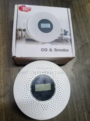 Smoke And Carbon Monoxide Detector With Voicealert