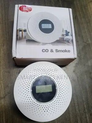 Smoke And Carbon Monoxide Detector With Voicealert