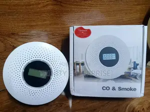 Combination Carbon Monoxide And Smoke Detector Alert
