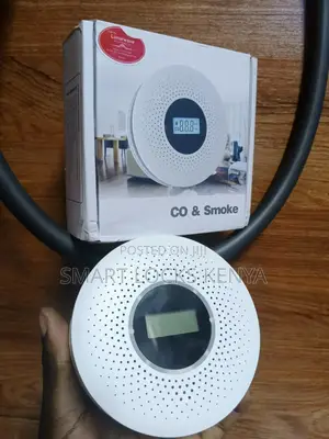 Carbon Monoxidedetector Ams Smoke Co