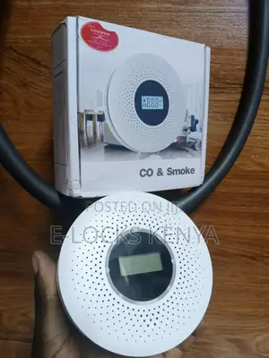 Carbon Monoxidedetector Ams Smoke Co