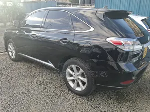 Lexus RX 2010 Black