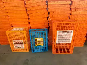 Premium Extra Large Bird Carrier, Portable Bird Cage (98cmx58cmx27 Cm)